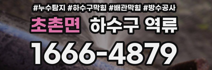 초촌면 하수구 역류