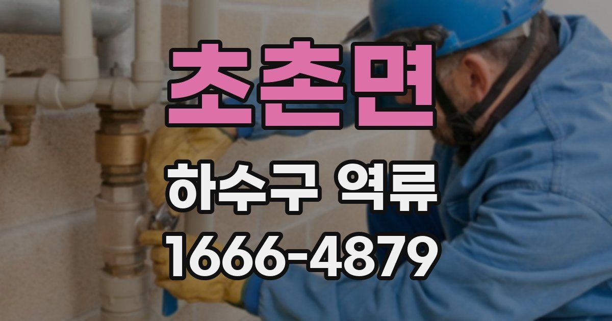 초촌면 하수구 역류