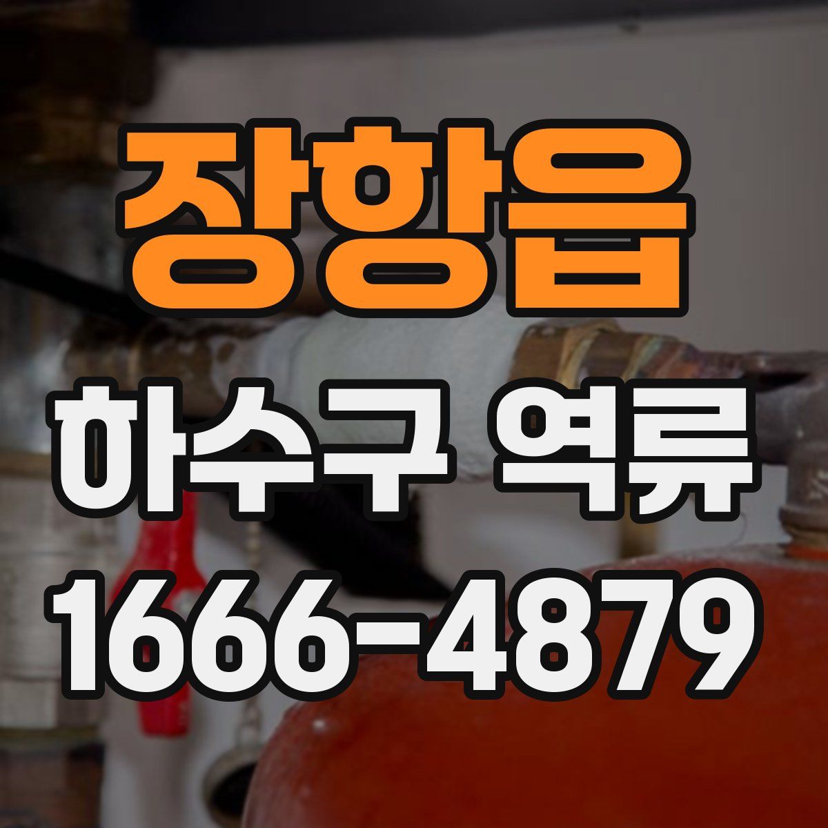 장항읍 하수구 역류