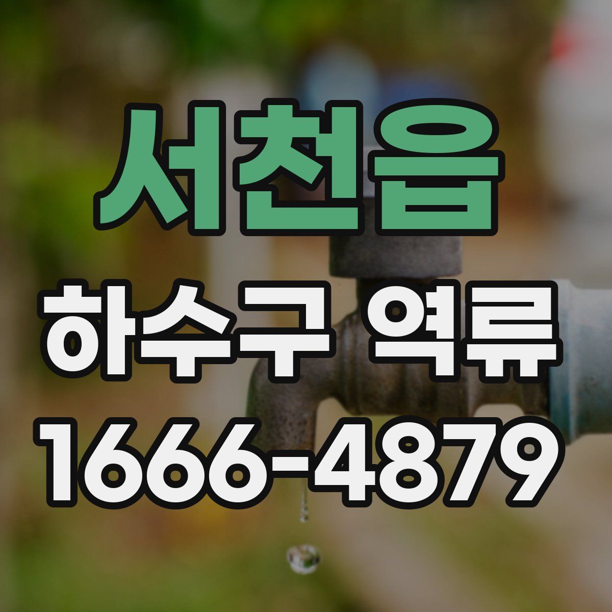 서천읍 하수구 역류