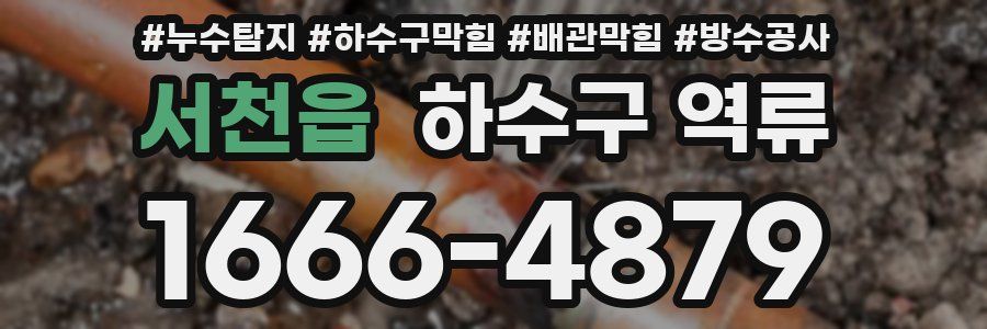 서천읍 하수구 역류