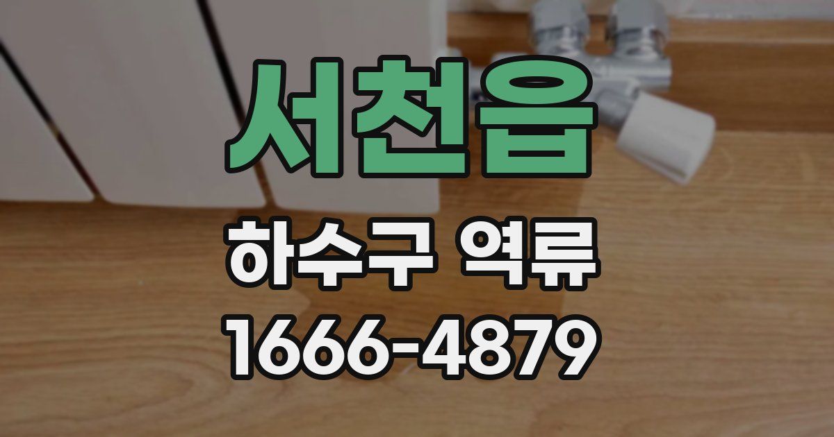 서천읍 하수구 역류