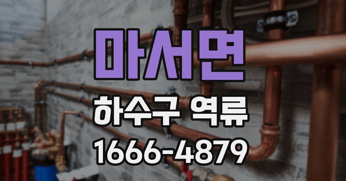마서면 하수구 역류