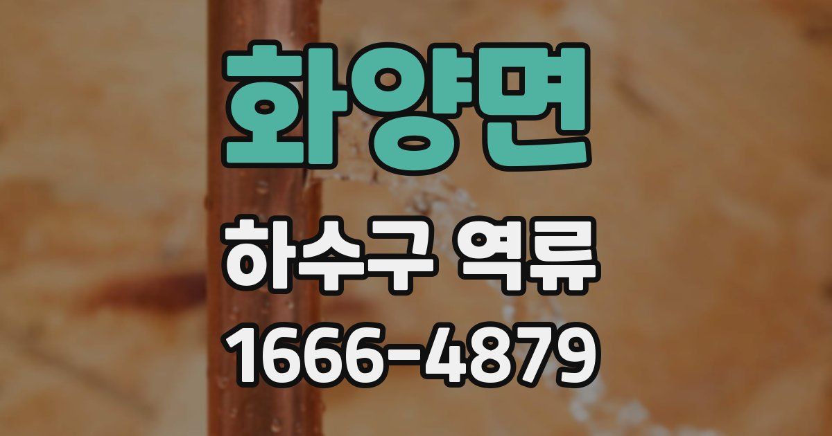 화양면 하수구 역류