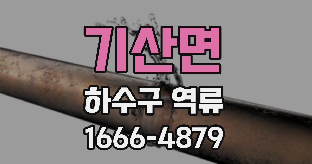 기산면 하수구 역류