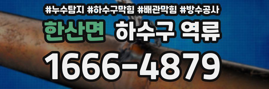 한산면 하수구 역류