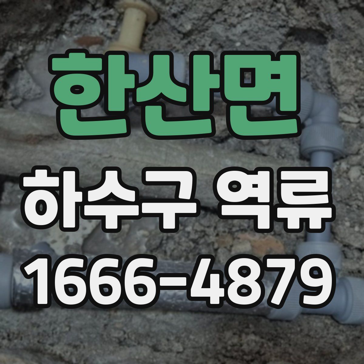한산면 하수구 역류