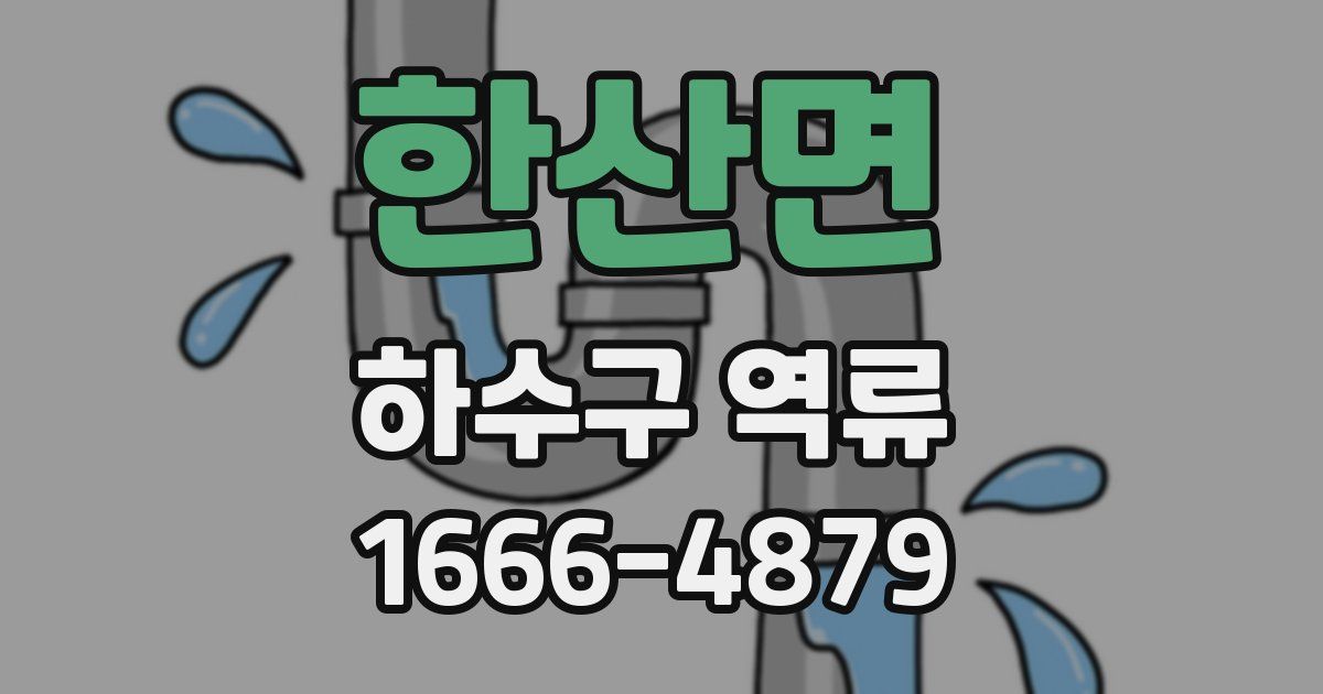 한산면 하수구 역류