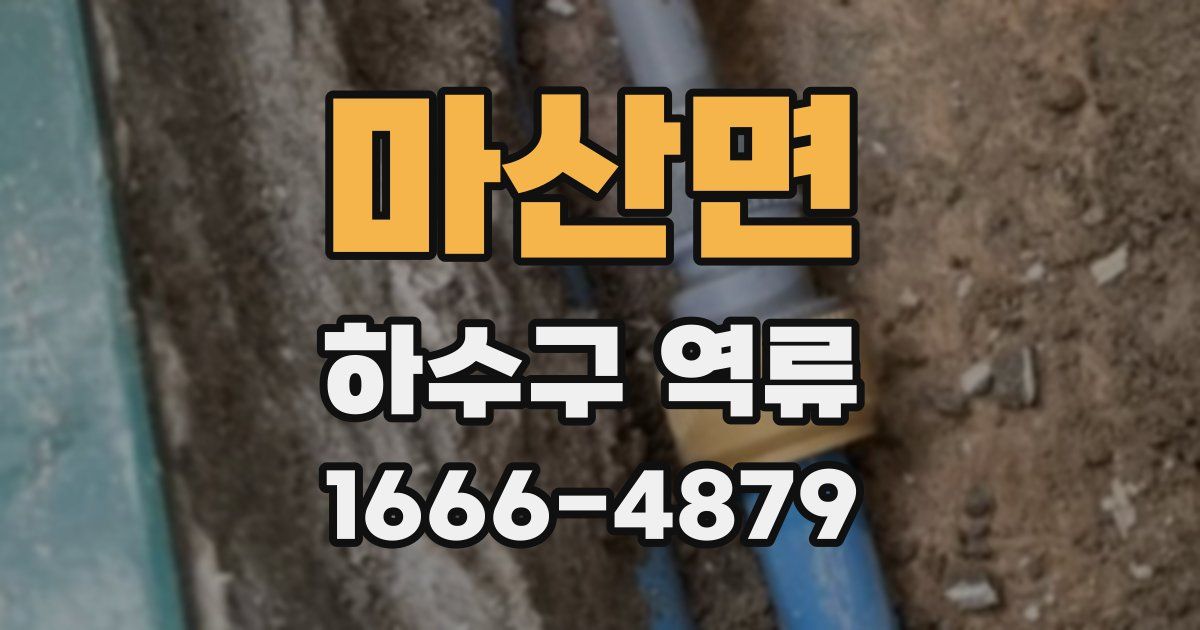 마산면 하수구 역류