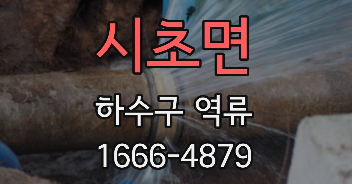 시초면 하수구 역류