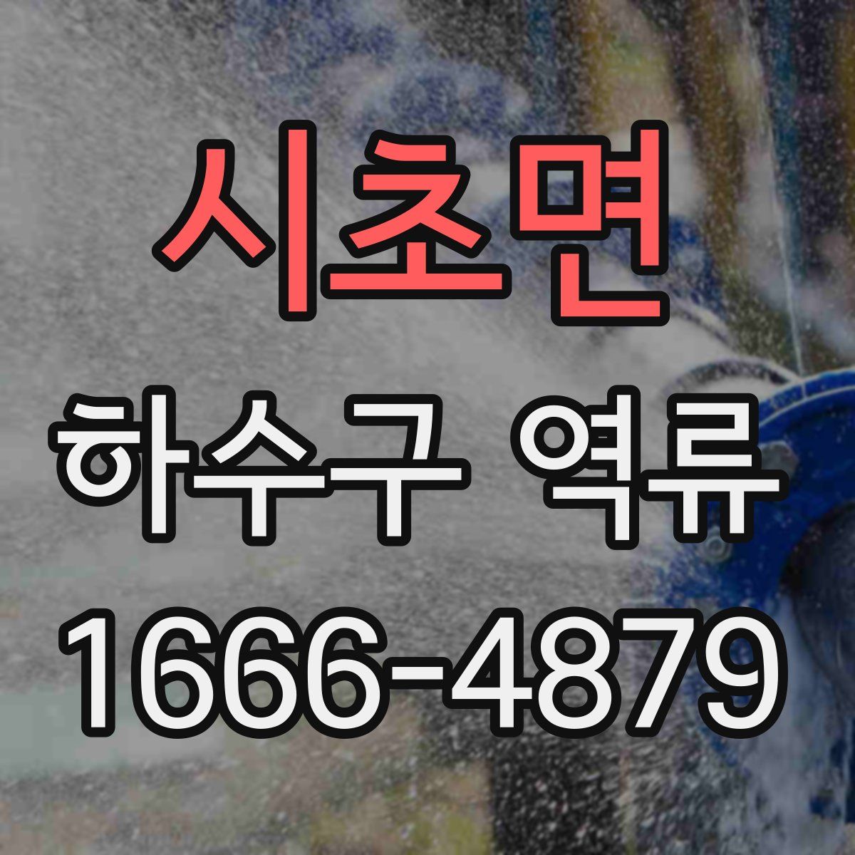 시초면 하수구 역류
