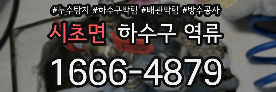 시초면 하수구 역류