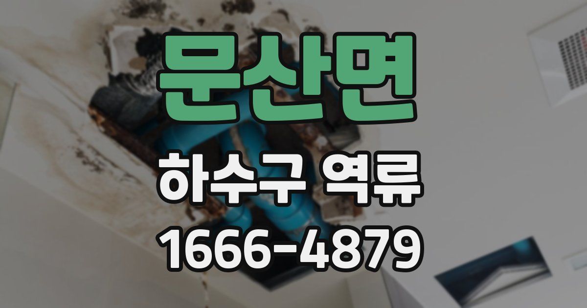 문산면 하수구 역류