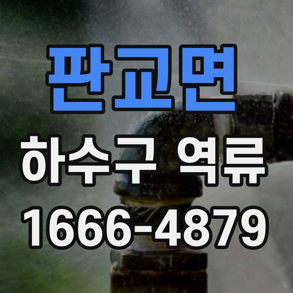 판교면 하수구 역류
