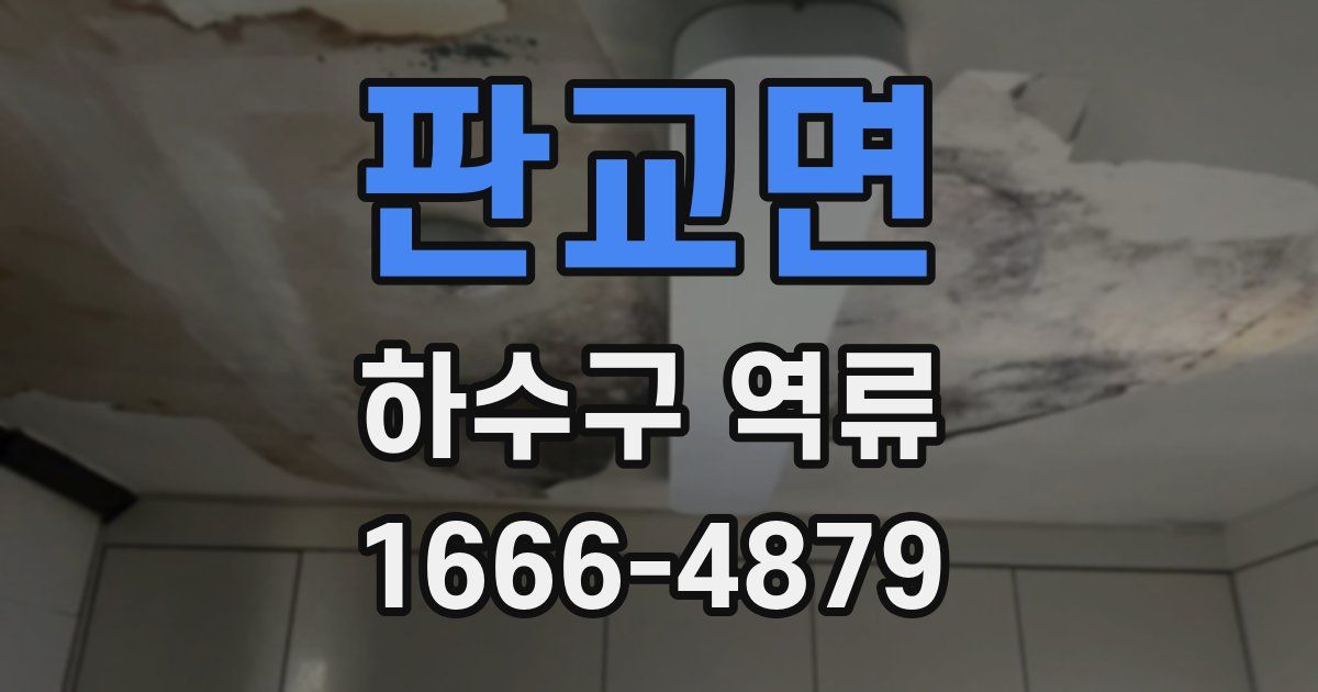 판교면 하수구 역류