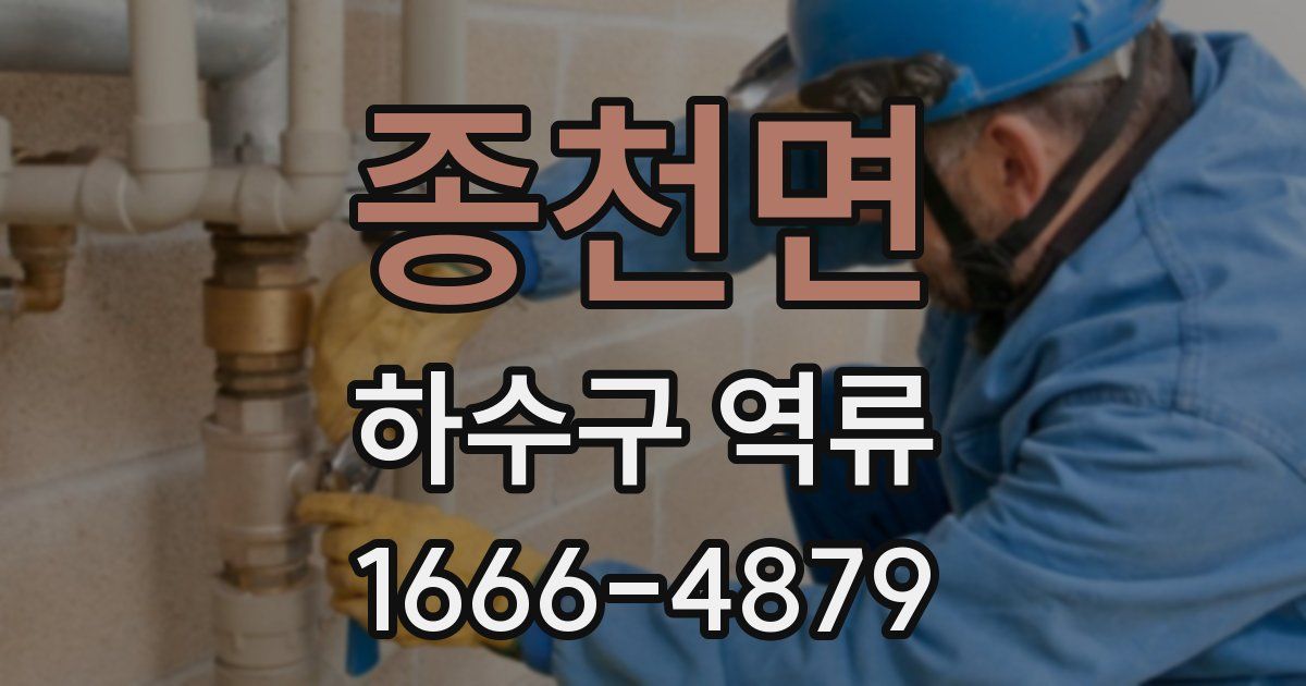 종천면 하수구 역류