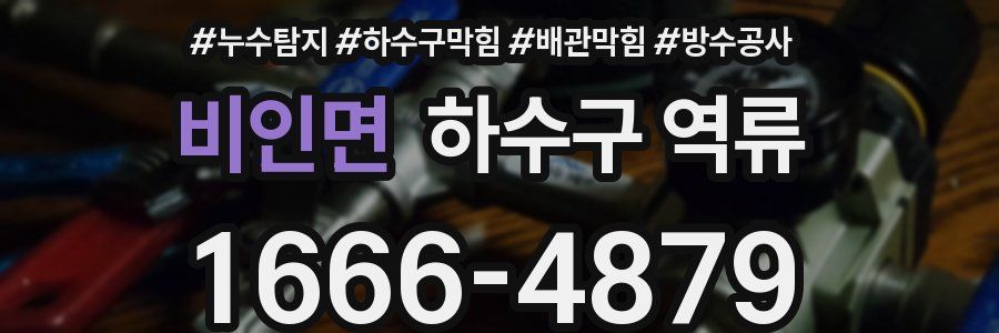 비인면 하수구 역류