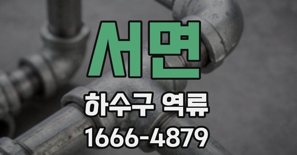 서면 하수구 역류