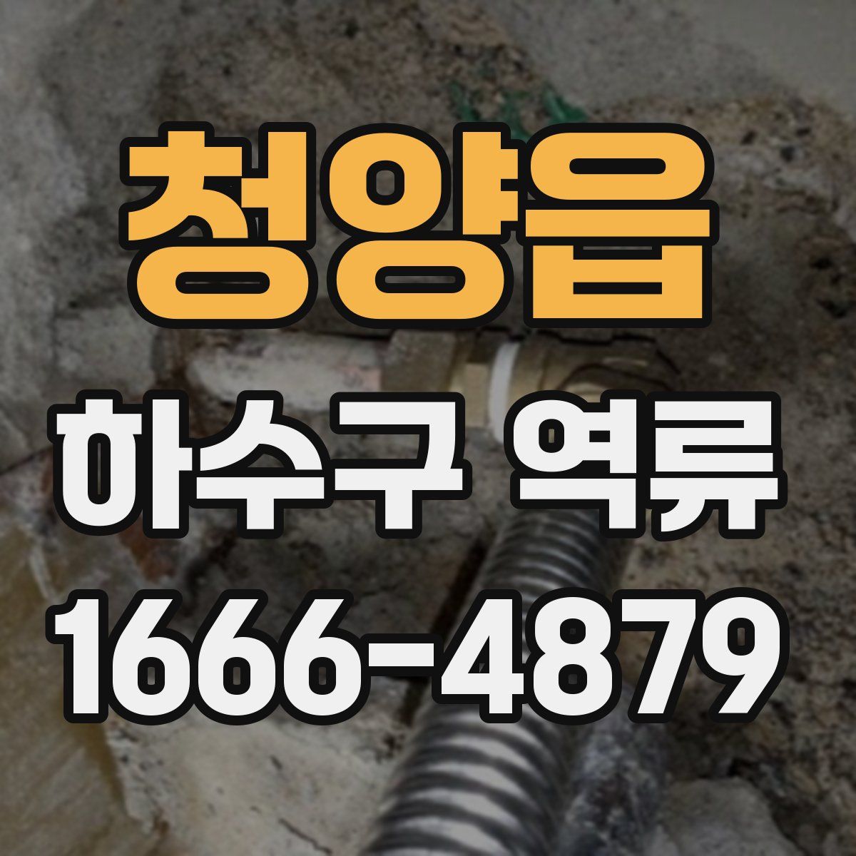 청양읍 하수구 역류