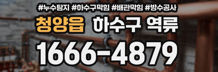 청양읍 하수구 역류