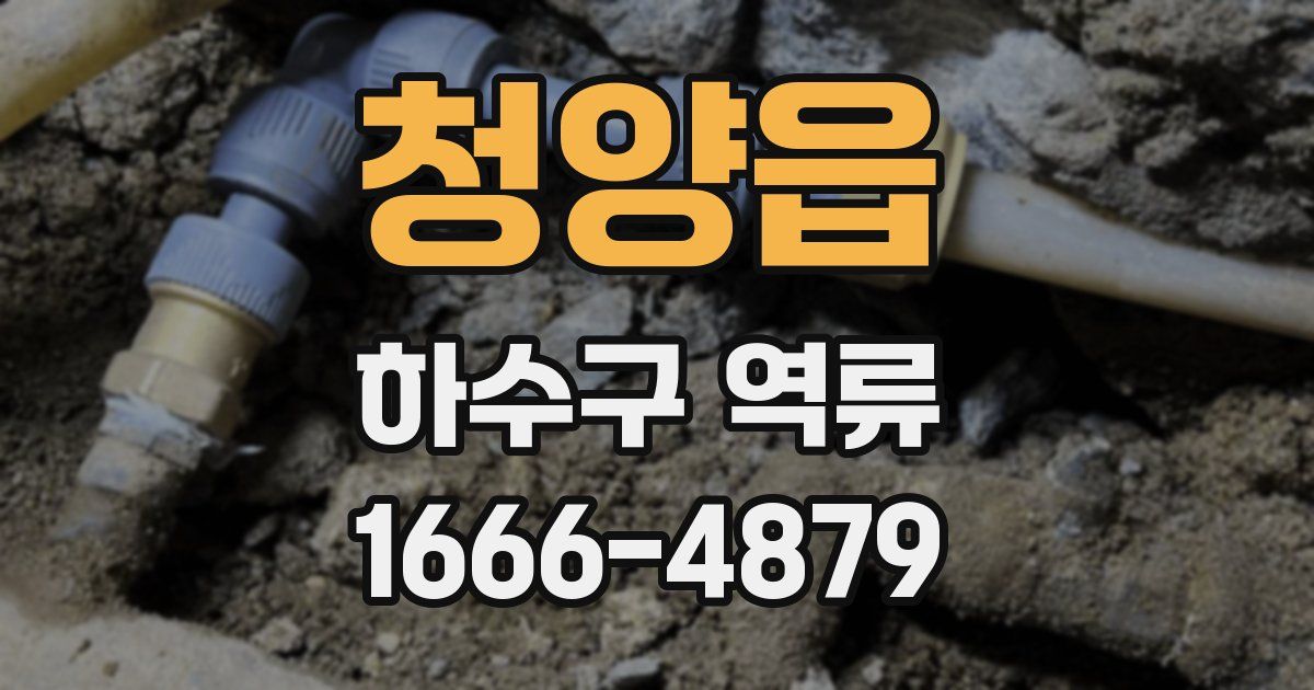 청양읍 하수구 역류