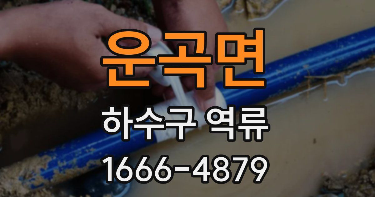 운곡면 하수구 역류