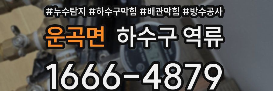 운곡면 하수구 역류