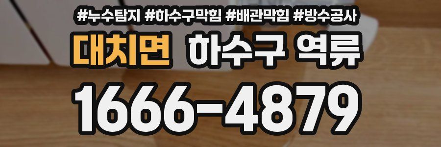대치면 하수구 역류