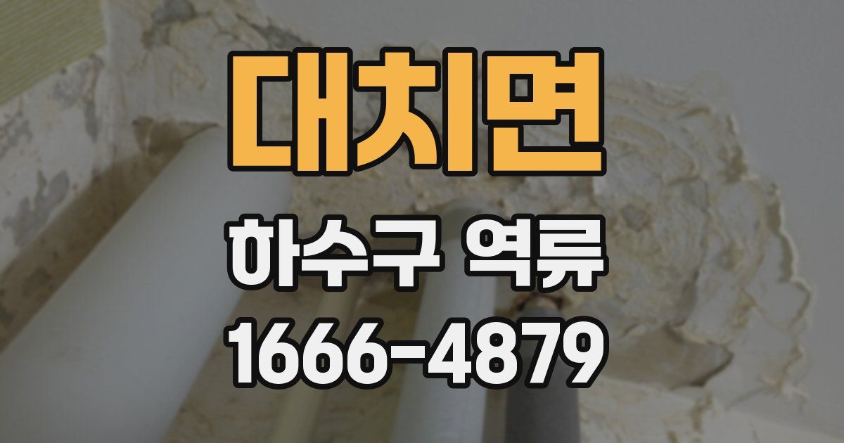 대치면 하수구 역류