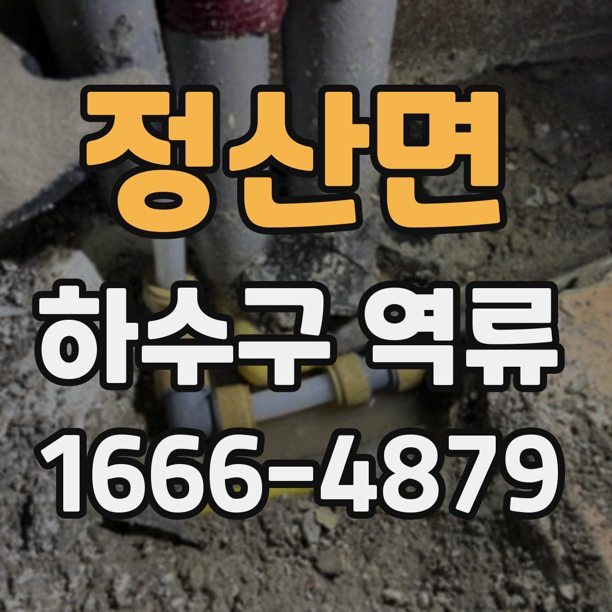 정산면 하수구 역류
