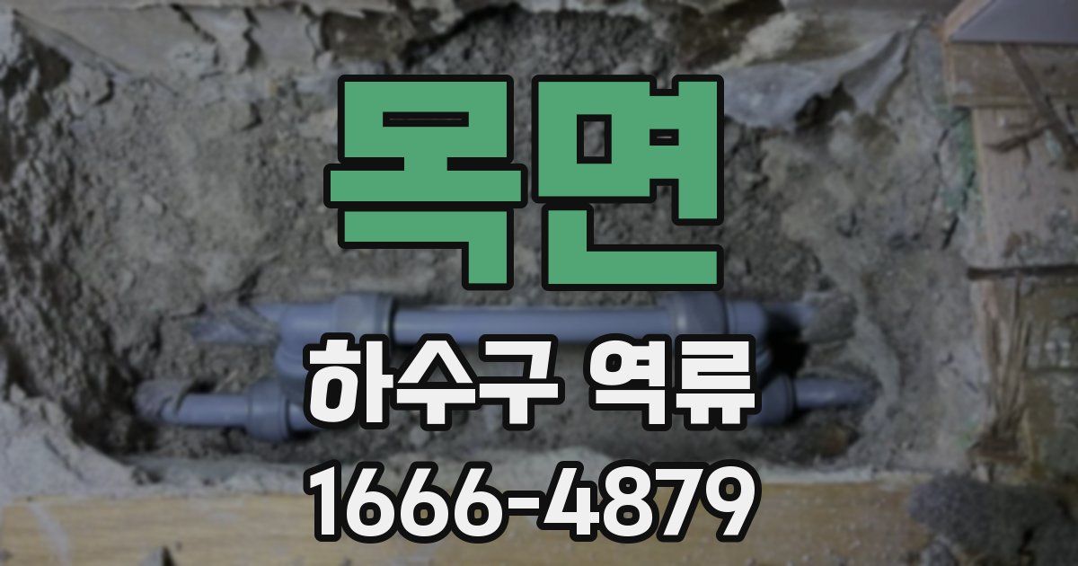 목면 하수구 역류