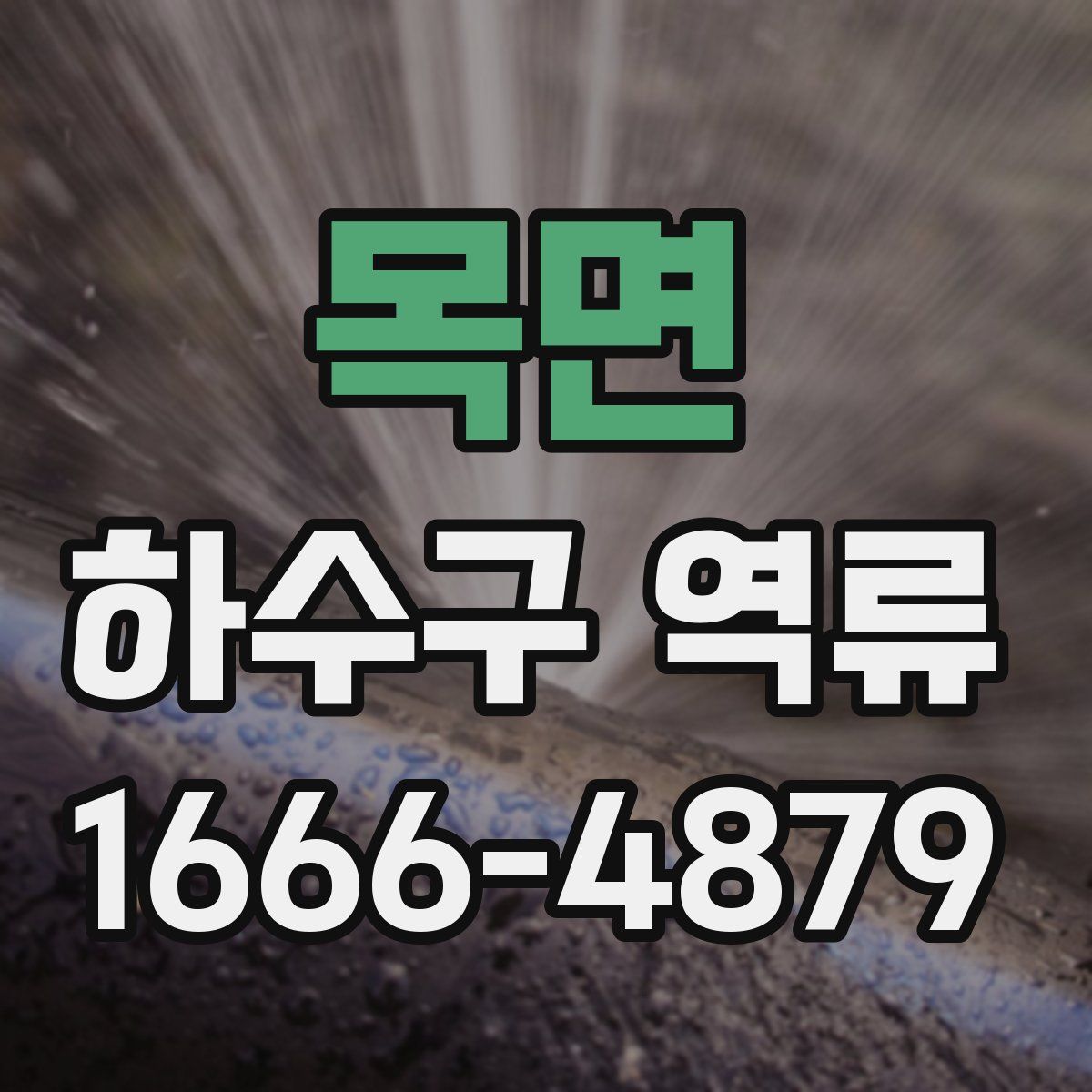 목면 하수구 역류