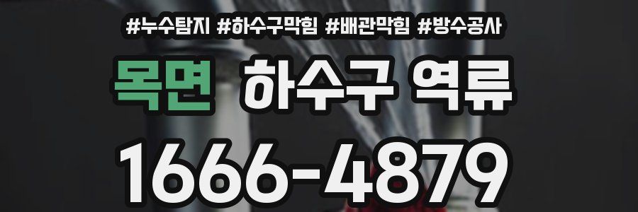 목면 하수구 역류
