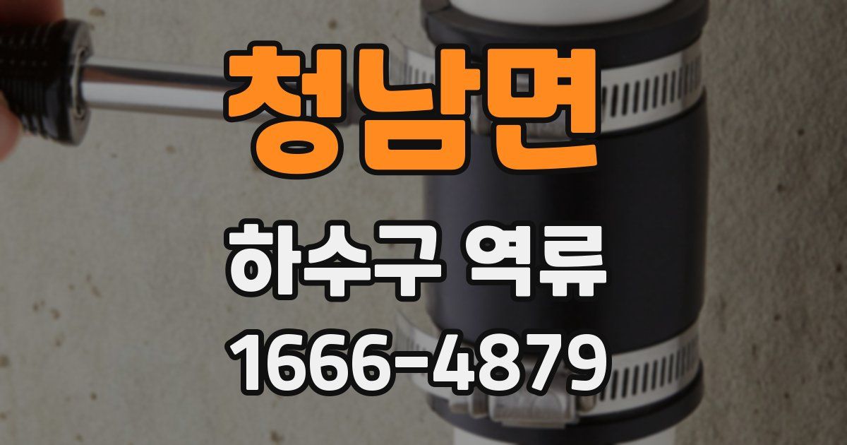 청남면 하수구 역류