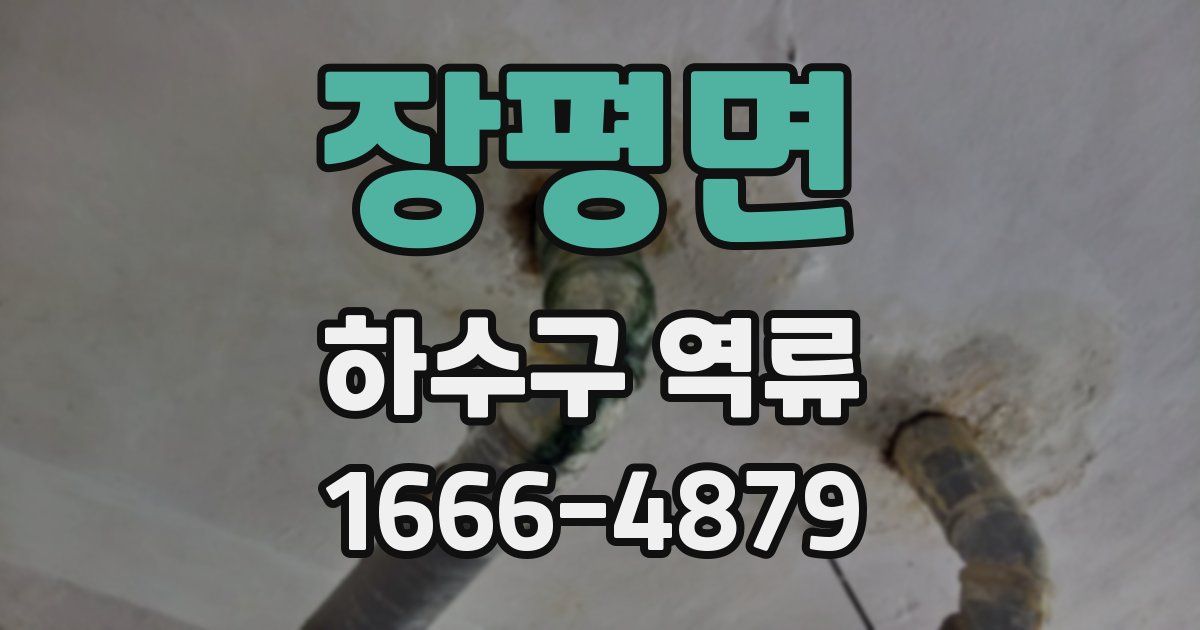 장평면 하수구 역류
