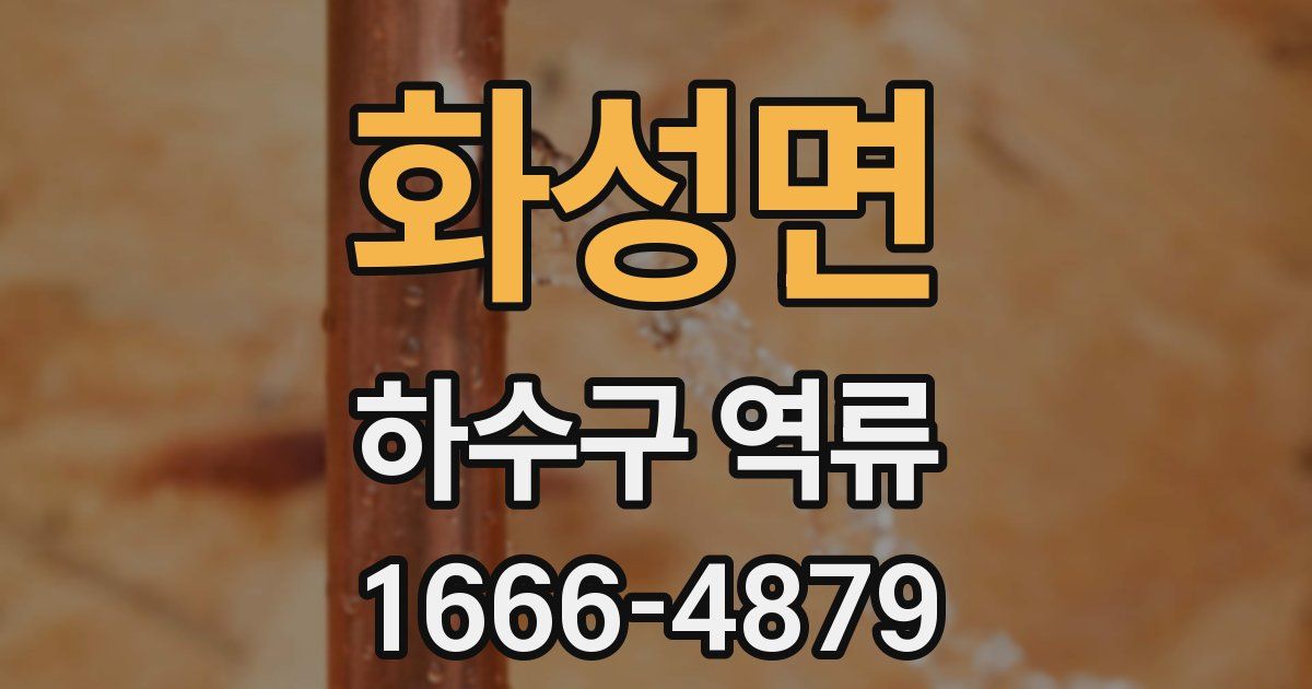 화성면 하수구 역류
