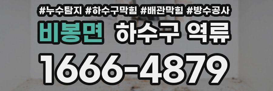 비봉면 하수구 역류