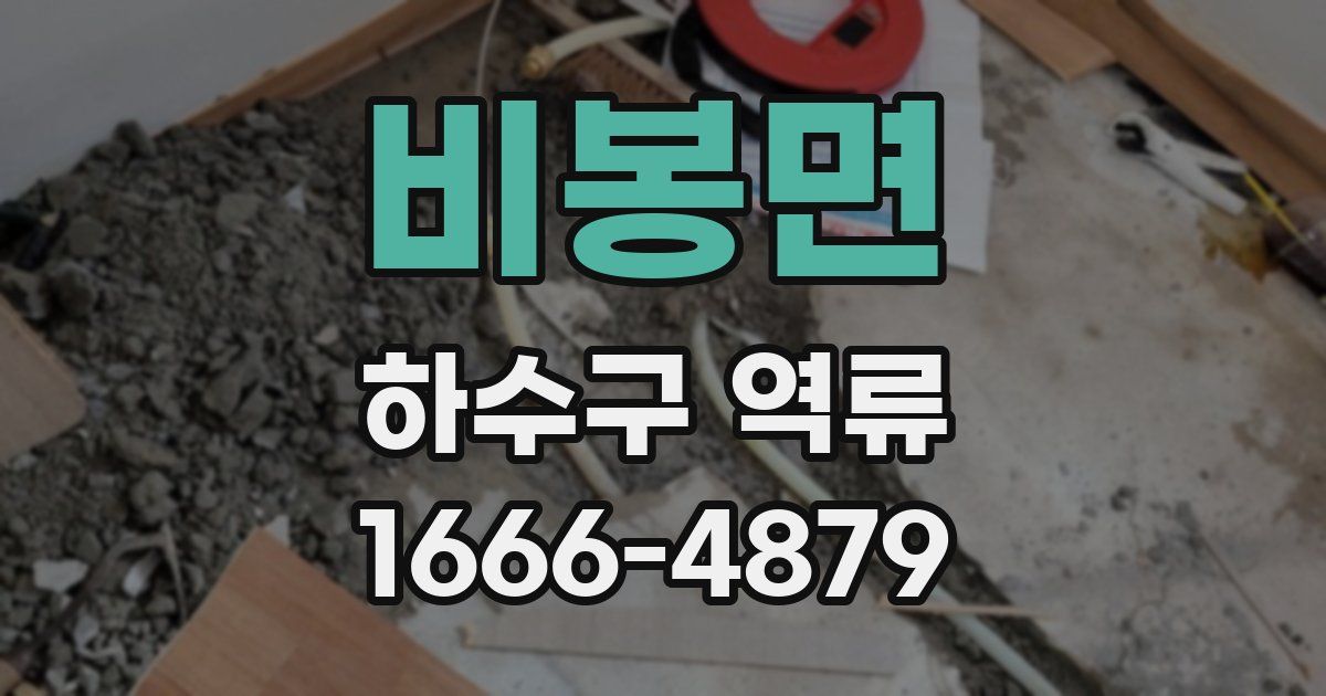 비봉면 하수구 역류