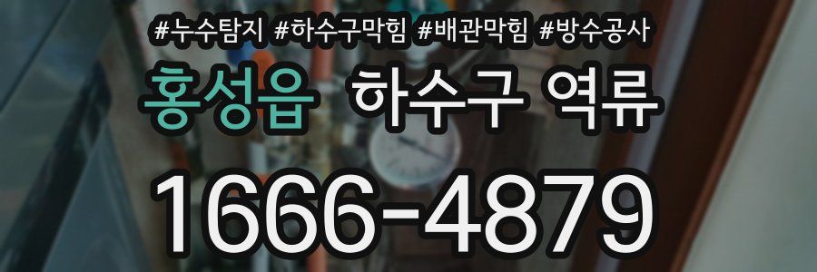 홍성읍 하수구 역류