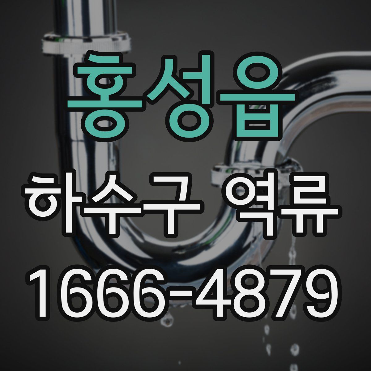 홍성읍 하수구 역류