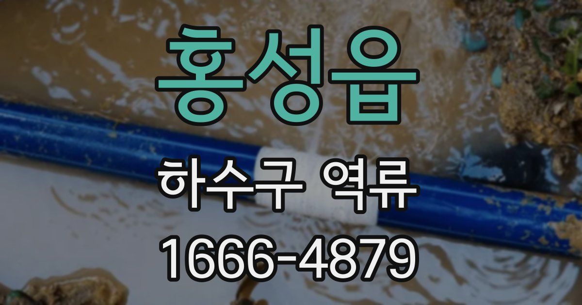 홍성읍 하수구 역류