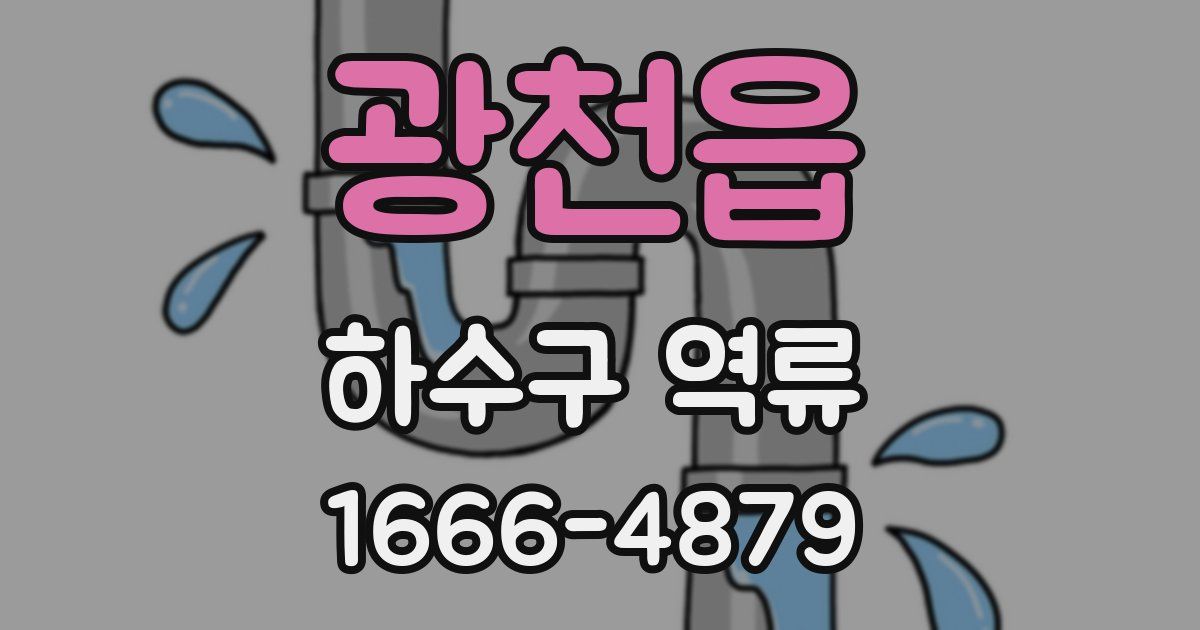 광천읍 하수구 역류
