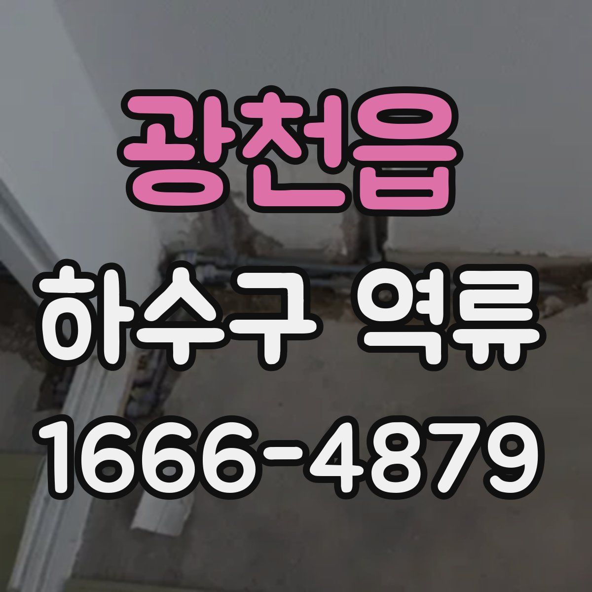 광천읍 하수구 역류