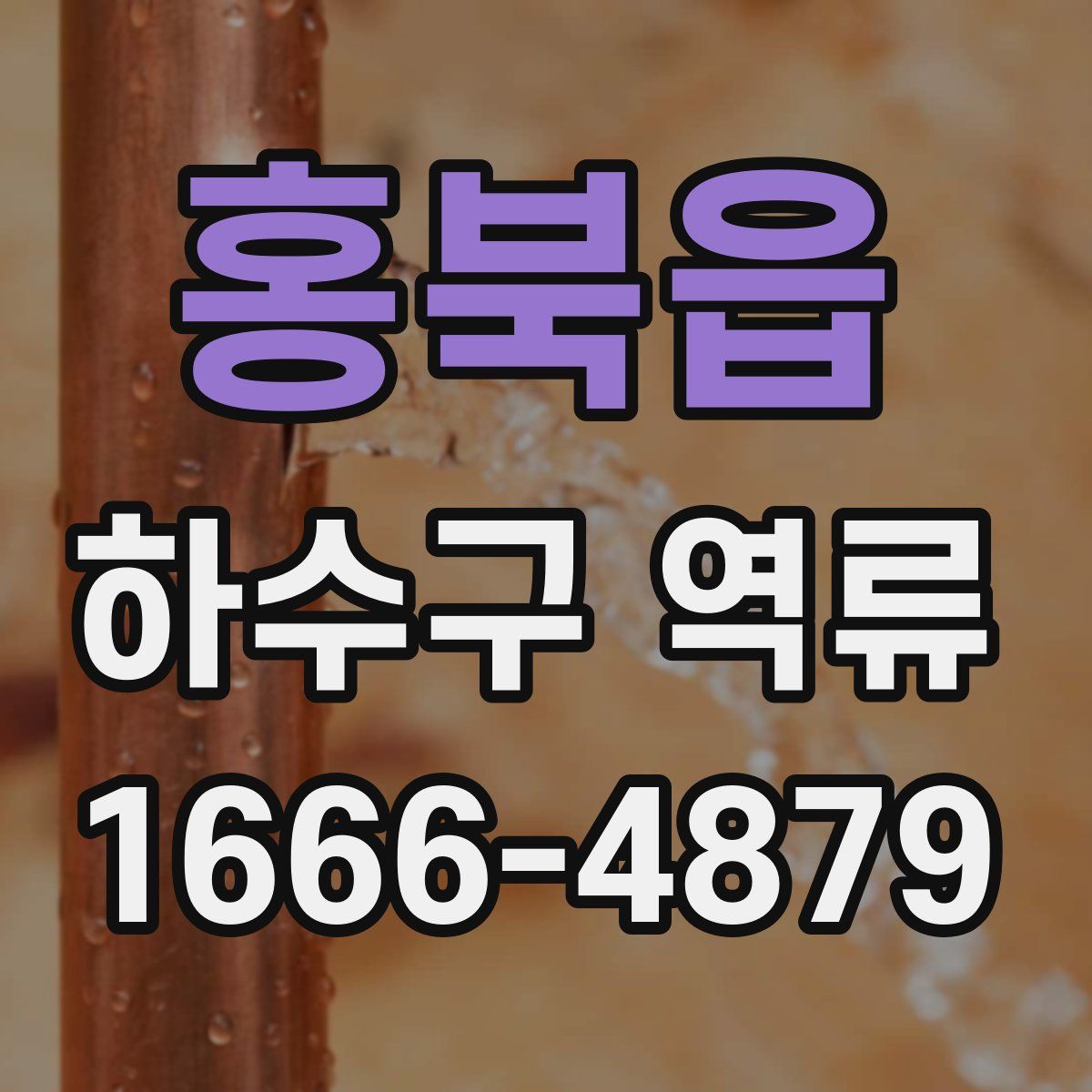 홍북읍 하수구 역류