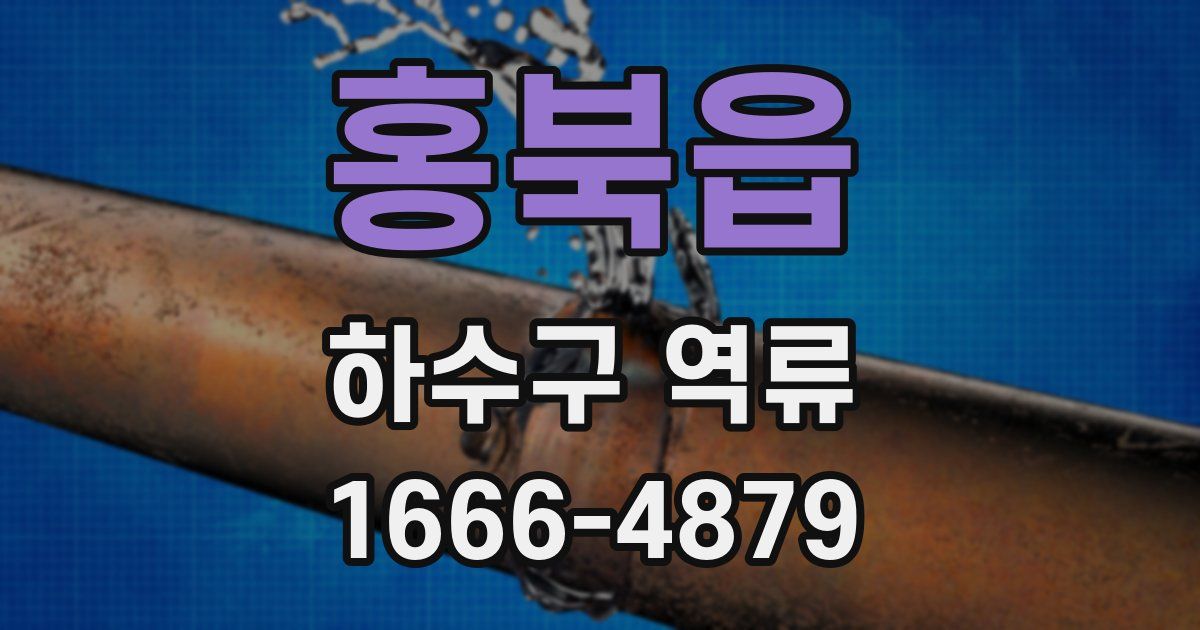 홍북읍 하수구 역류