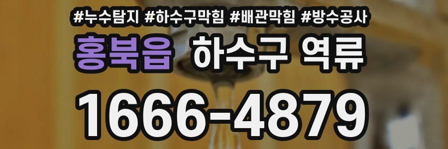 홍북읍 하수구 역류
