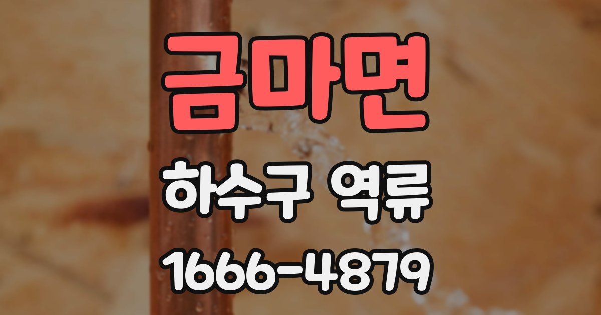 금마면 하수구 역류