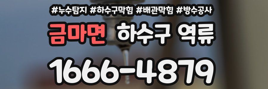 금마면 하수구 역류