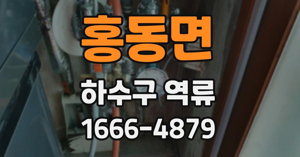 홍동면 하수구 역류