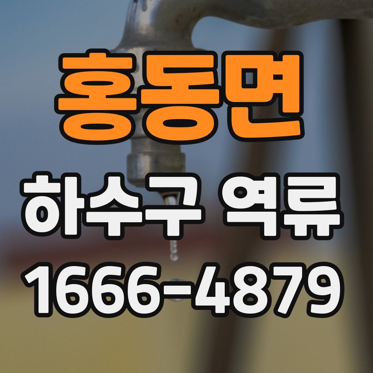 홍동면 하수구 역류